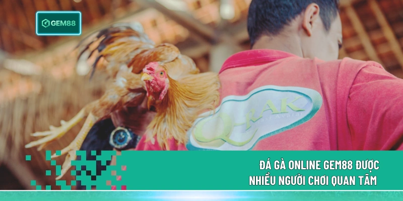 Đá Gà Online Gem88 - Trải Nghiệm Đỉnh Cao Đấu Trường Thực 1 Đá gà online Gem88 được nhiều người chơi quan tâm