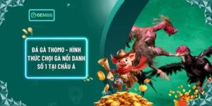 Đá Gà Thomo